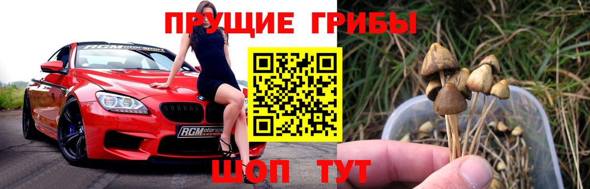 Псилоцибиновые грибы MAGIC MUSHROOMS Канаш